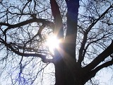 Artystyczne