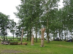 Pole namiotowe przy play w Wolinie